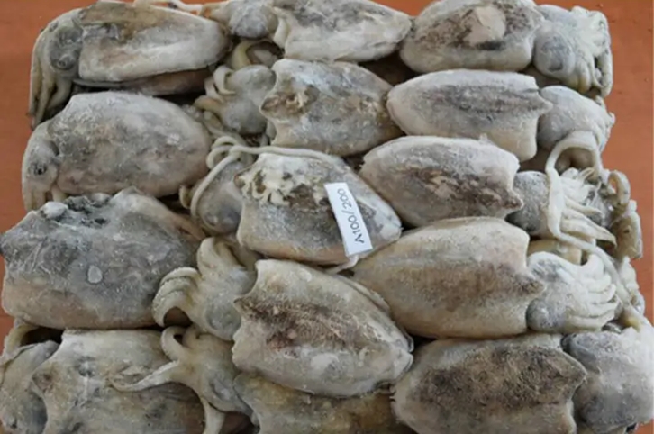 馬來西亞冷凍墨魚進(jìn)口報(bào)關(guān)流程 馬來西亞冷凍墨魚進(jìn)口報(bào)關(guān)流程