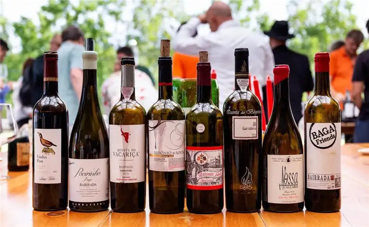 葡萄牙紅酒進口報關資料 葡萄牙紅酒進口報關資料