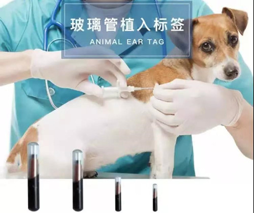 1570758626218486.jpg 寵物進(jìn)口報(bào)關(guān)