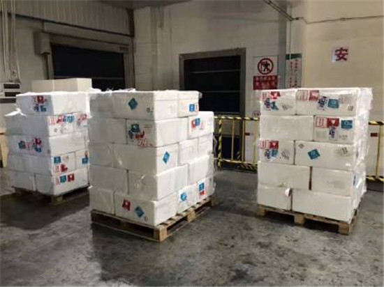 1582941050656553.jpg 越南龍利魚進口報關清關