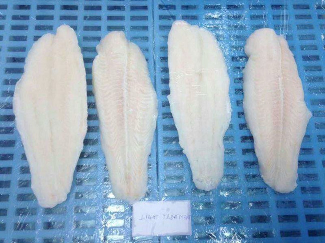 越南冷凍巴沙魚進口報關流程 越南冷凍巴沙魚進口報關流程