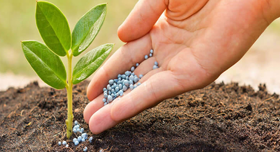 1593485471186759.jpg 農(nóng)作物肥料進口清關