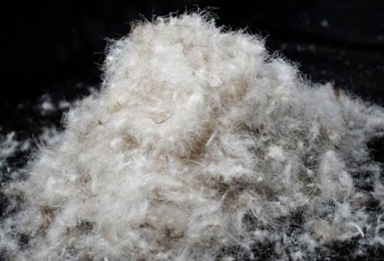 1597112607598605.png 鴨絨進(jìn)口報(bào)關(guān)