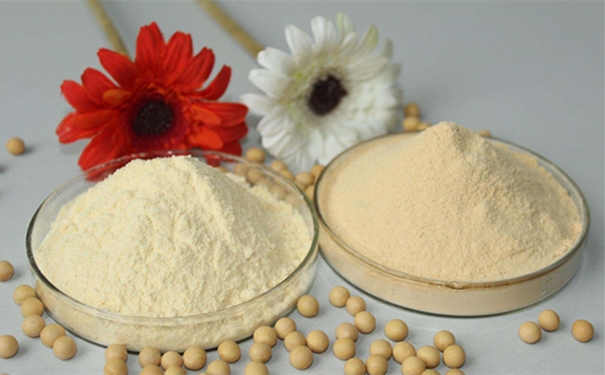 青島食品原料進(jìn)口清關(guān)進(jìn)口食品基本流程 食品原料進(jìn)口清關(guān)