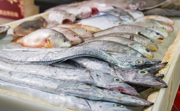 進口水產品清關 進口水產品清關出示什么資料才能順利完成