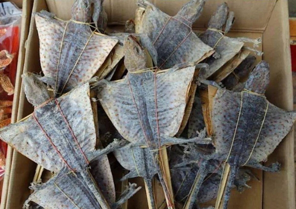 Look!上海港進口蛤蚧代理清關(guān)這樣操作 上海港進口蛤蚧代理