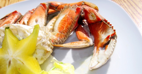 加拿大螃蟹代理清關(guān)進口公司 加拿大螃蟹進口清關(guān)_副本.jpg