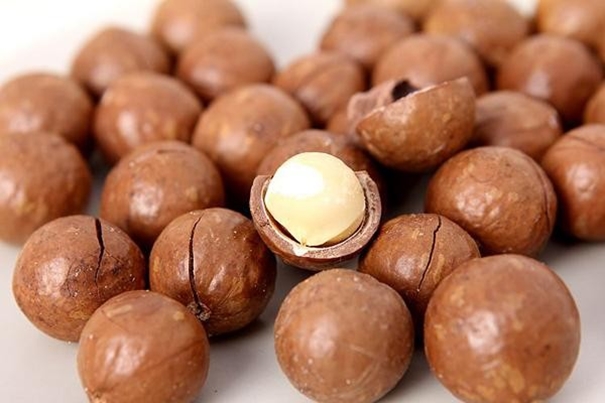 1637058081880408.jpg 上海堅果進口報關(guān)代理_副本.jpg