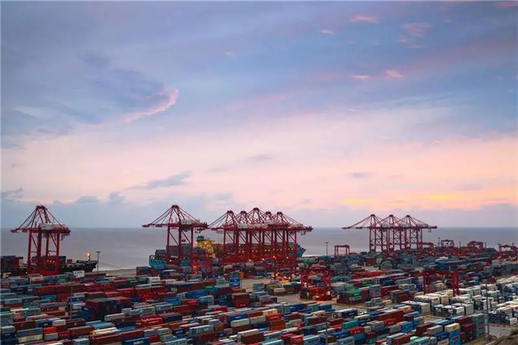 1650451071519523.png 福州報關公司排名 (2).png