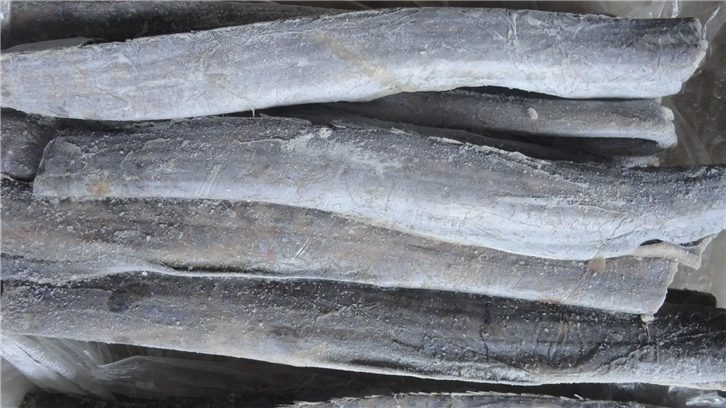 1651834536200948.png 冷凍帶魚清關(guān)公司_副本.png