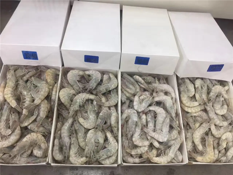 1653038466410863.png 廣州海鮮進(jìn)口清關(guān).png