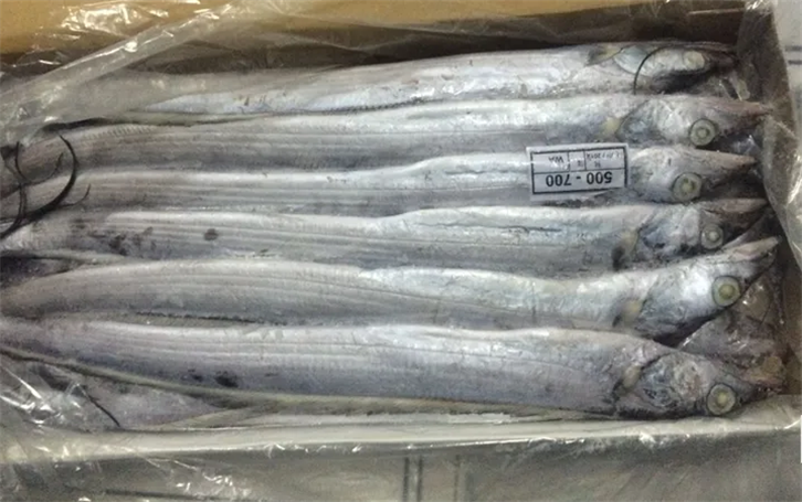 1655375207109224.png 上海冷凍帶魚(yú)進(jìn)口報(bào)關(guān)公司.png