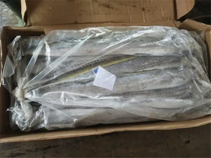 1656410239457185.png 進口印尼冷凍帶魚報關.png