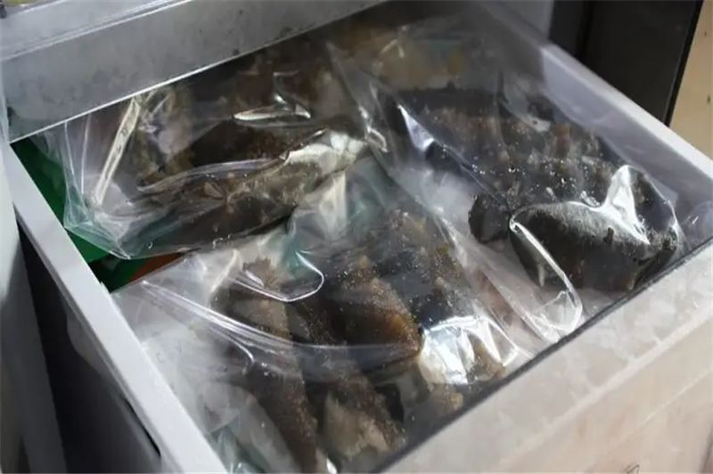 1665399290692941.png 印尼海參進口報關代理.png