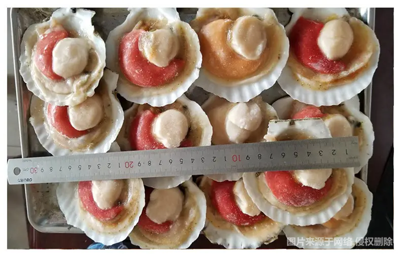 1670992860380717.png 進(jìn)口扇貝清關(guān)代理_副本.png