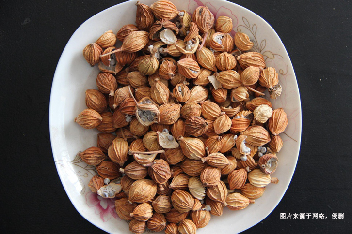 德國豆蔻進口報關流程 德國豆蔻進口報關流程