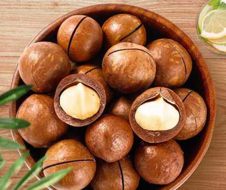 南非夏威夷果進(jìn)口報關(guān) 南非夏威夷果進(jìn)口報關(guān)